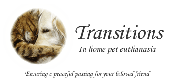 Transitions Veterinary Services | San Diego